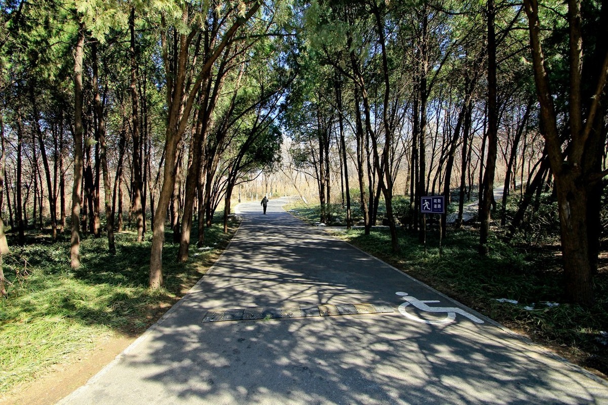 初春——素静安逸的千佛山 （二）