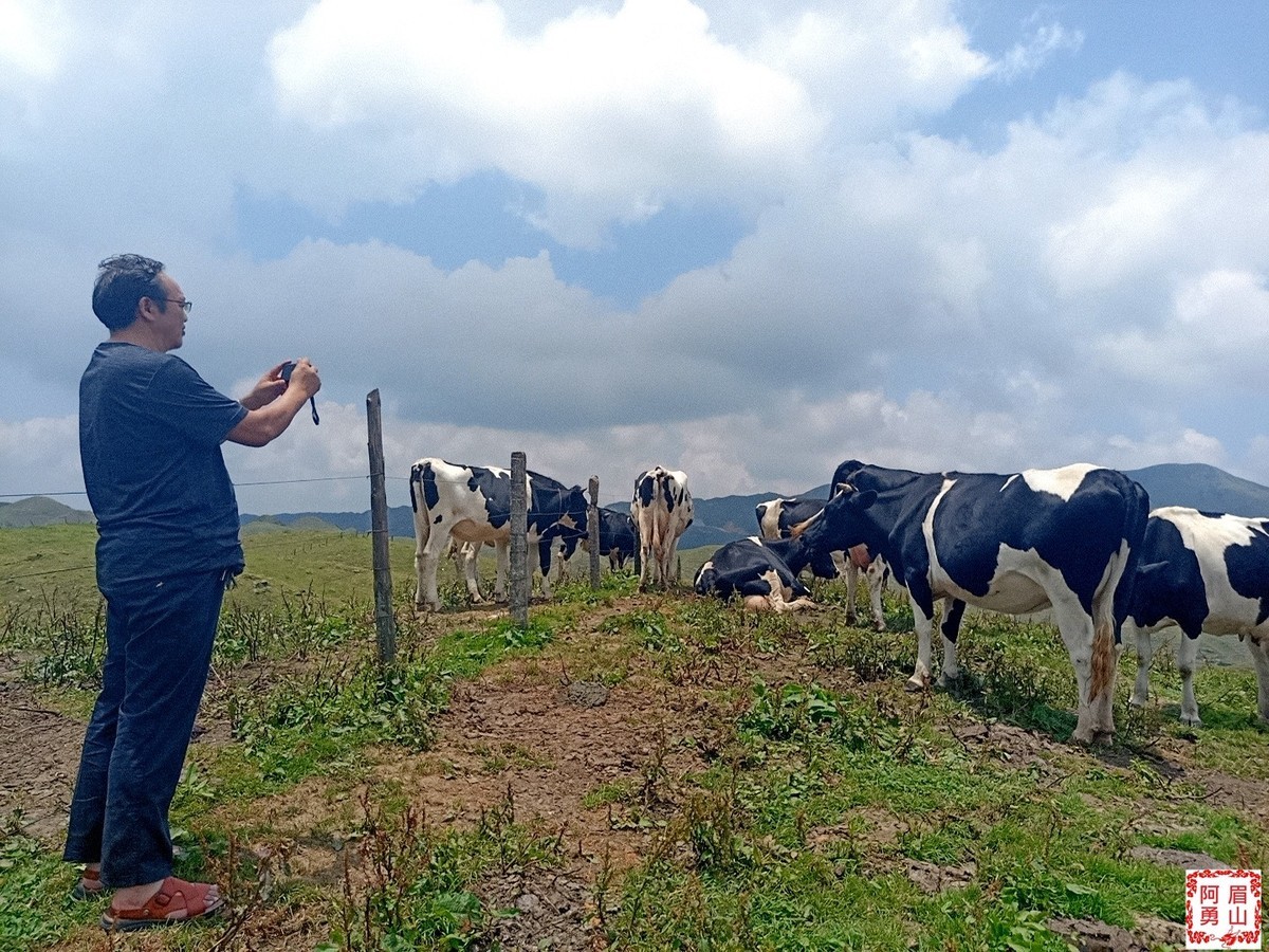 登城步南山牧场