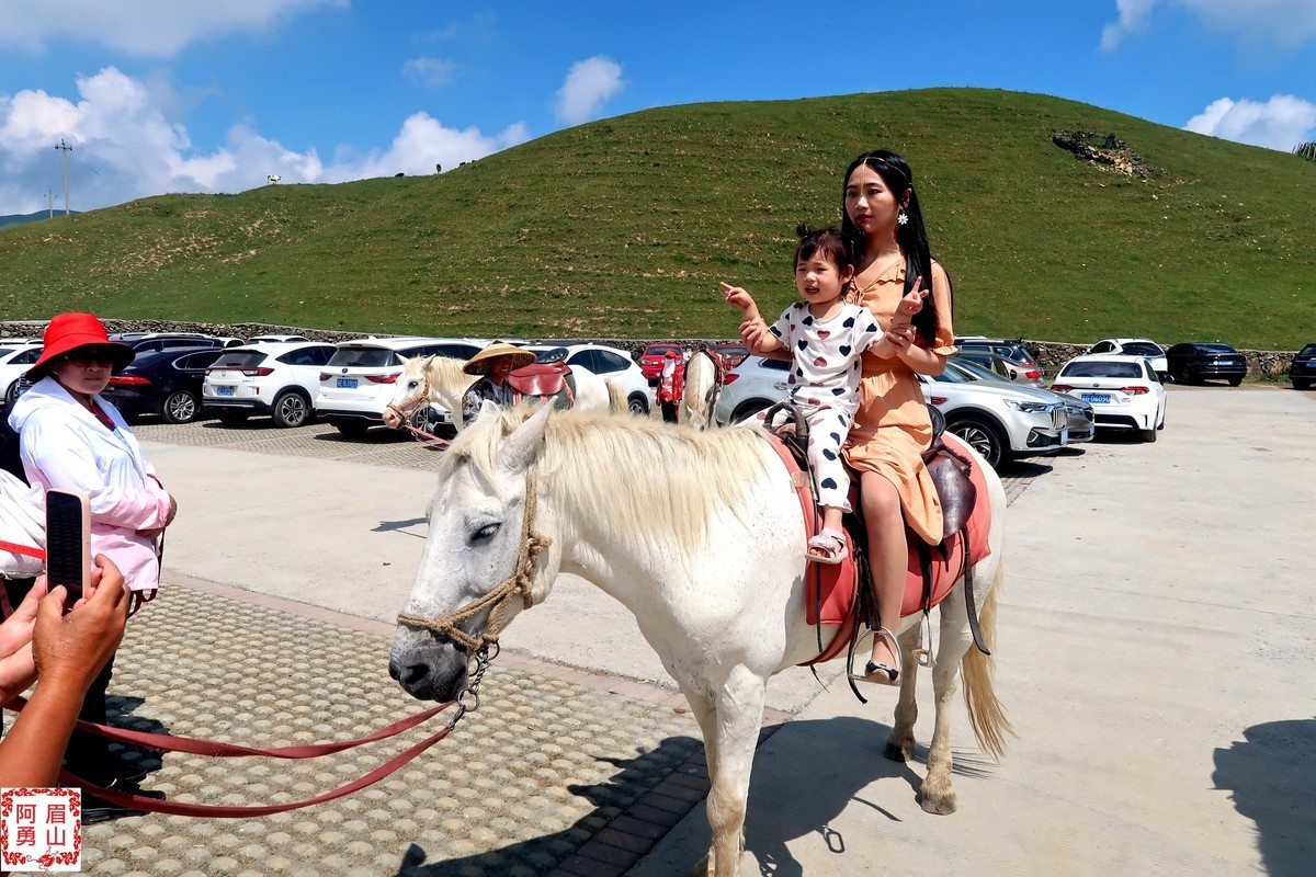 登城步南山牧场
