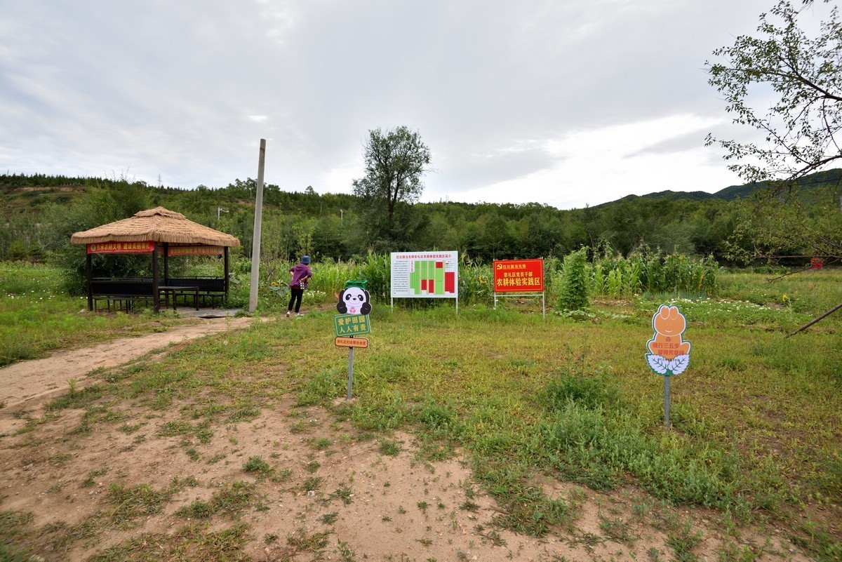 崇礼黑山湾湿地公园    3/3