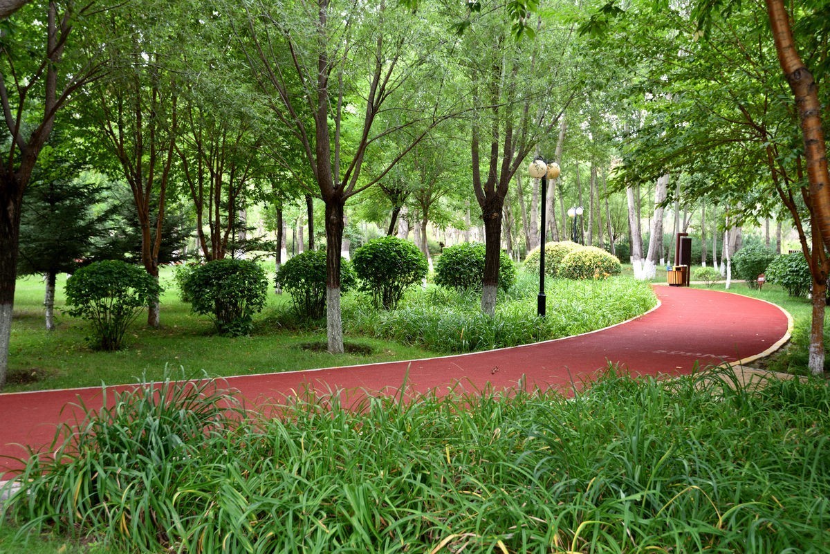 崇礼黑山湾湿地公园    3/3