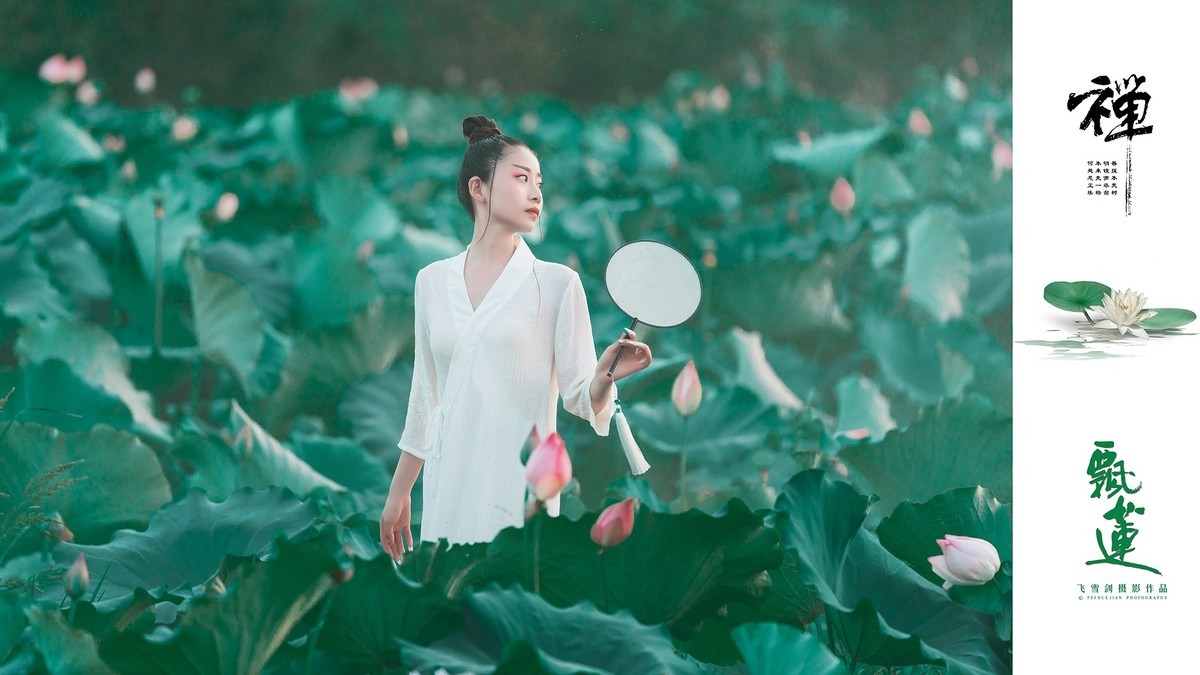 【飞雪剑摄影】《禅·飘莲》
