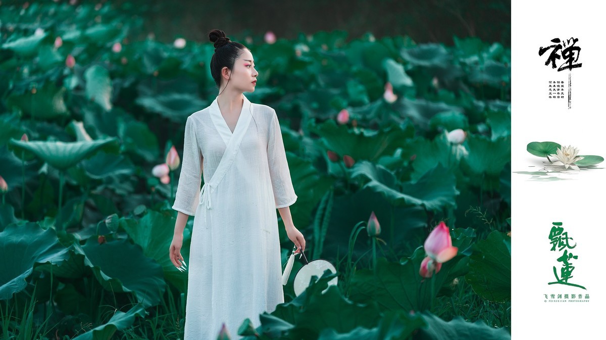 【飞雪剑摄影】《禅·飘莲》