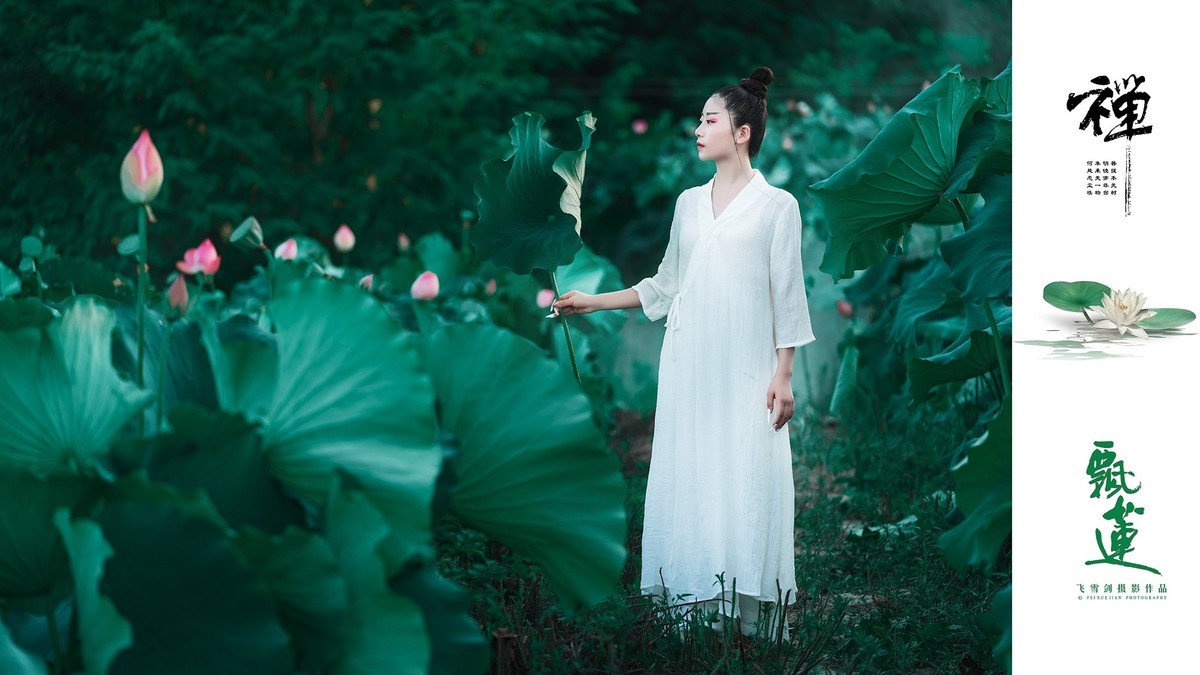 【飞雪剑摄影】《禅·飘莲》