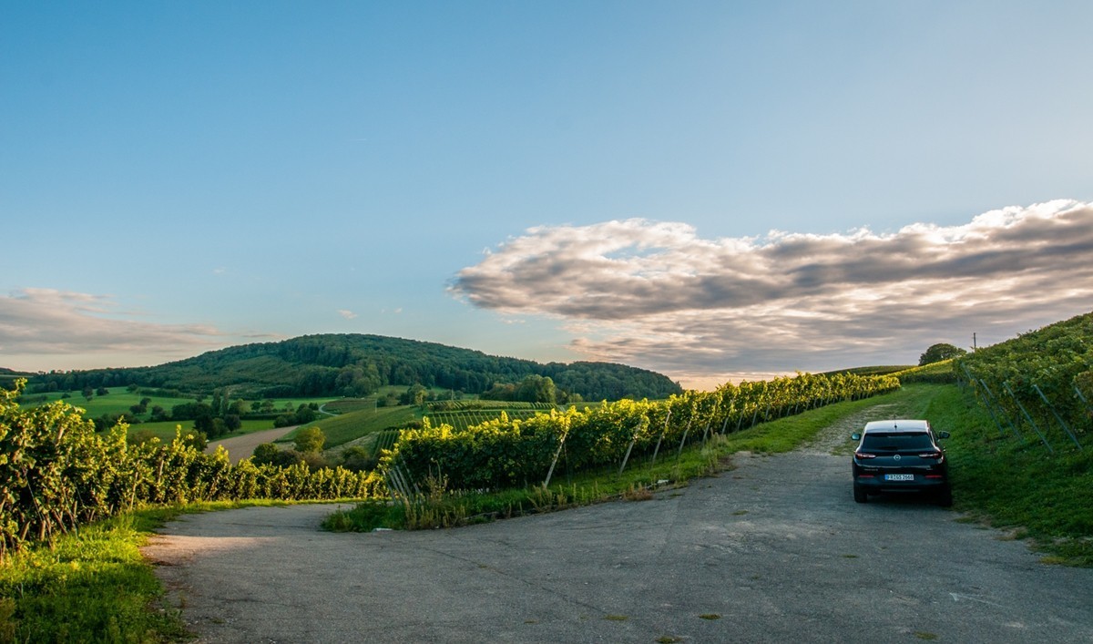 南德长夏之--田园风光