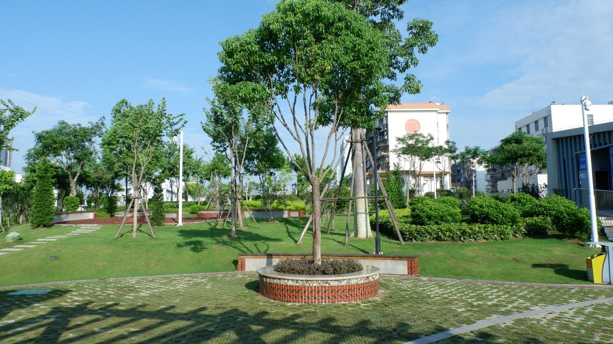 杏林湾曙光曲--28