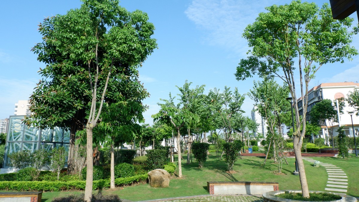 杏林湾曙光曲--28