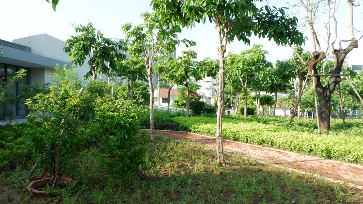 杏林湾曙光曲--28