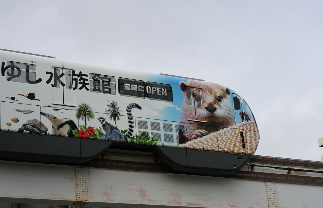 2023-12-28 定焦拍清楚飞机降落不容易