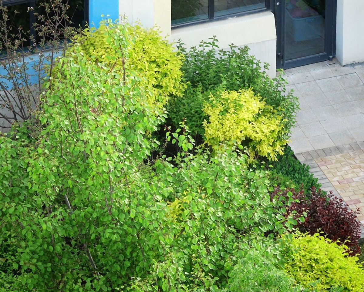 大美大爱RX10m3啊！