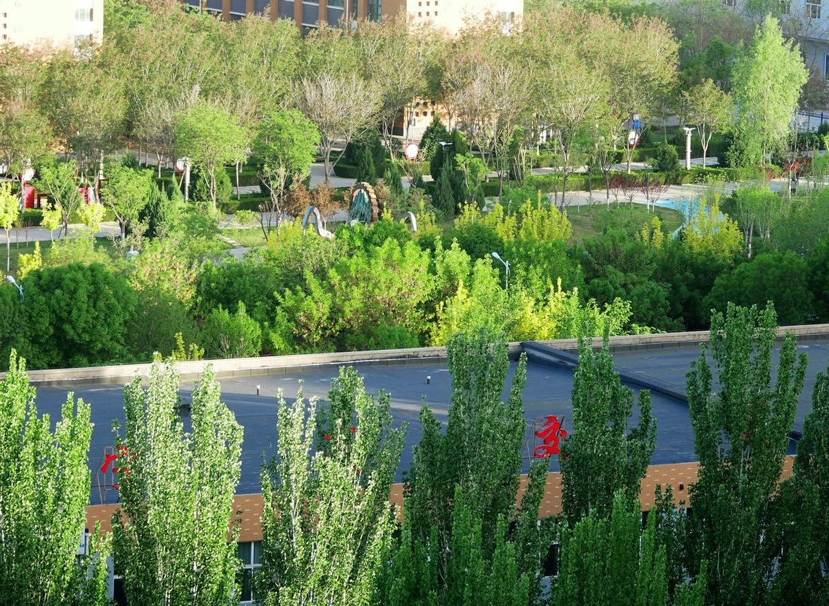 大美大爱RX10m3啊！