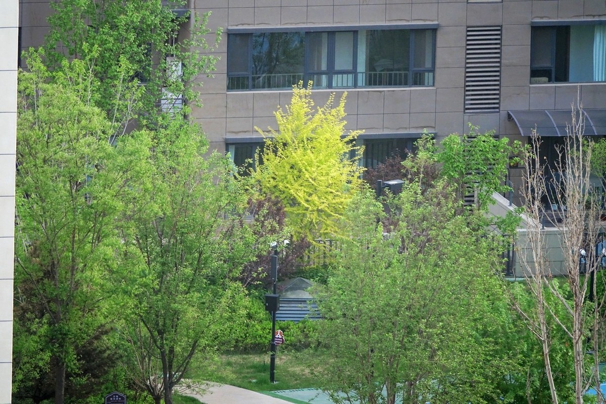 大美大爱RX10m3啊！