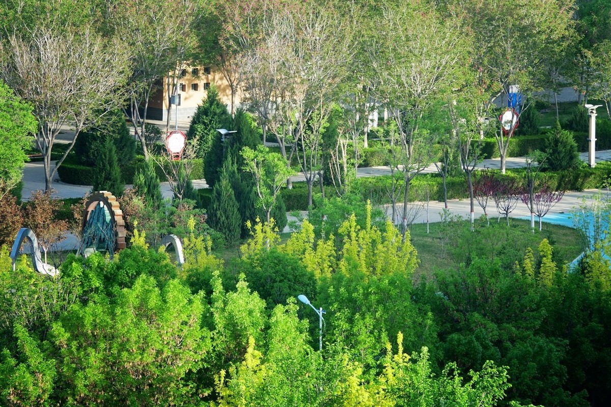 大美大爱RX10m3啊！