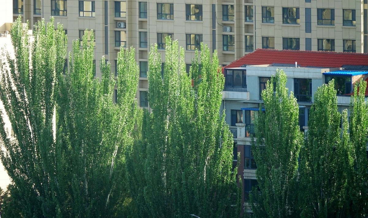 大美大爱RX10m3啊！