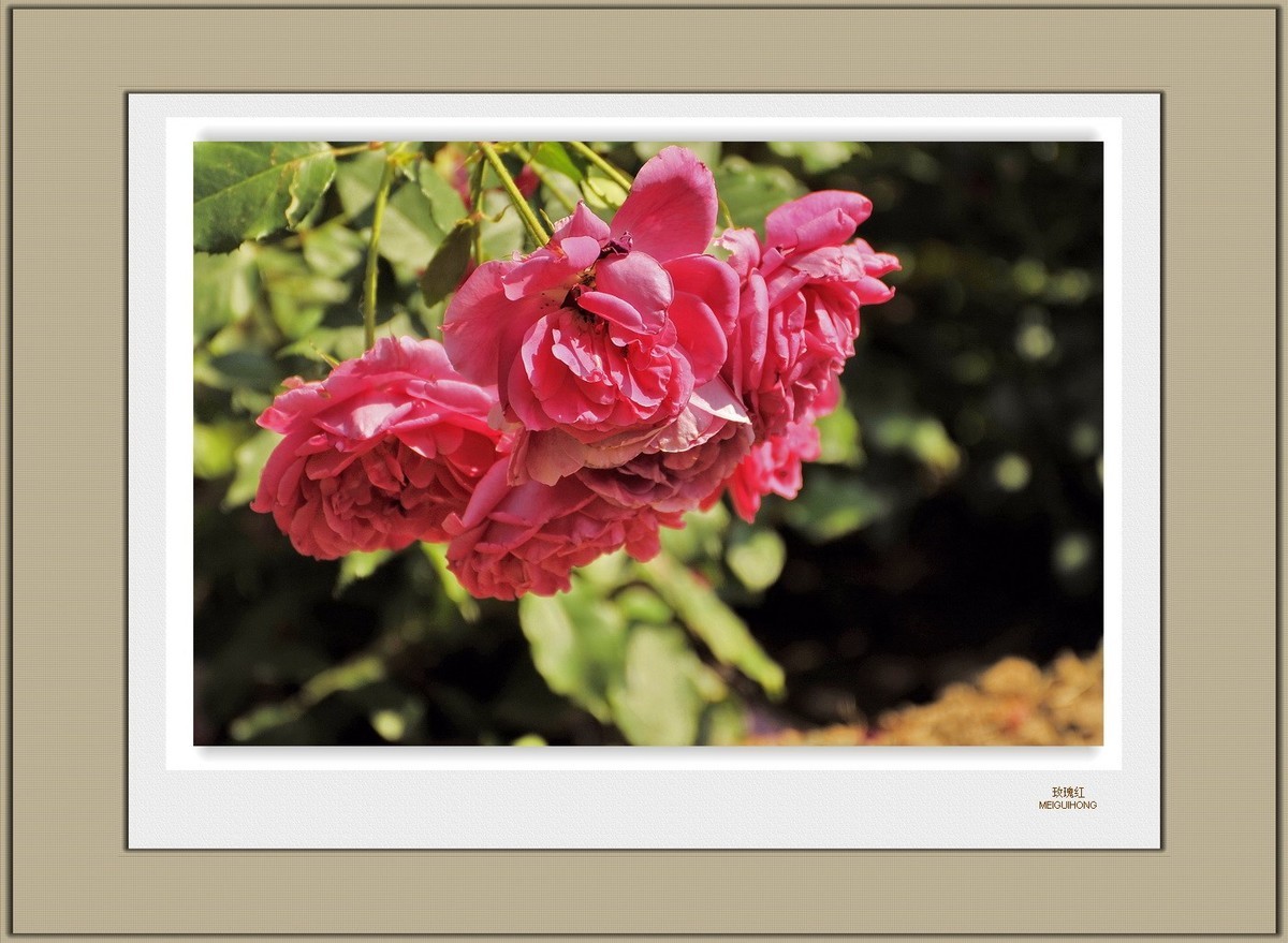 装饰画--都看看