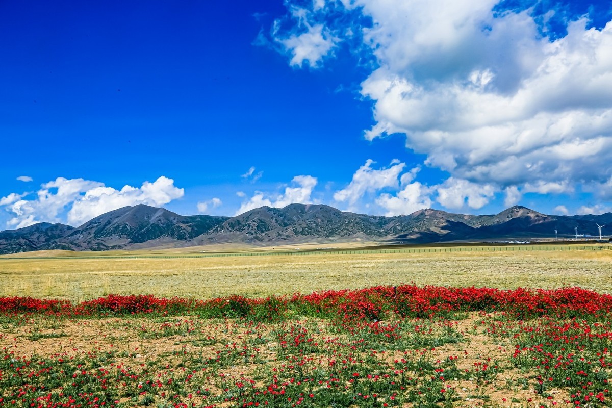 靓女遇上赛里木湖