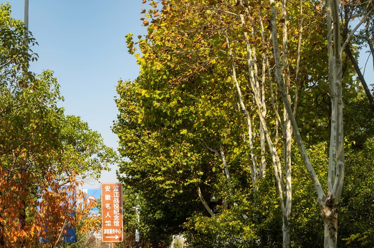 庐州印象（398）红色记忆