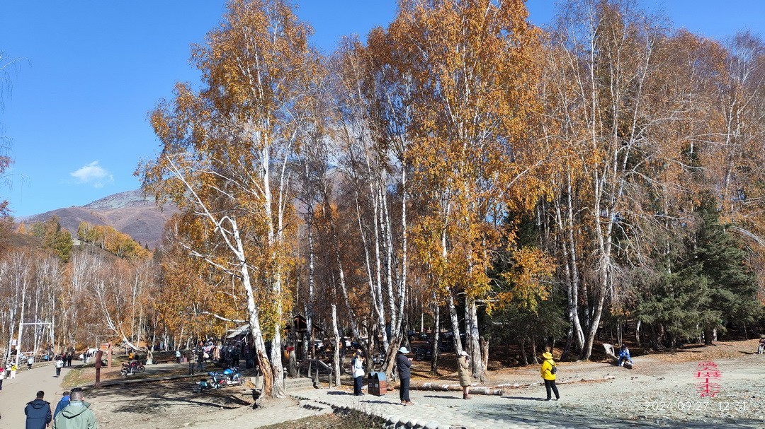 中国第八个摄影创作基地；禾木图瓦村       周鸣天