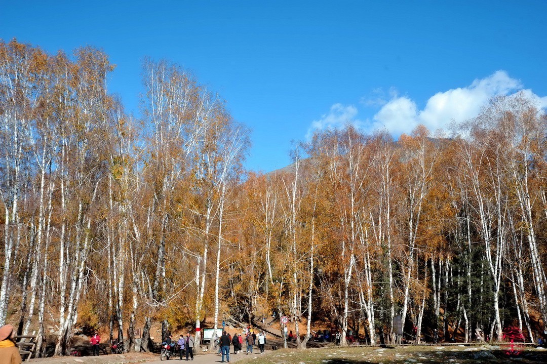 中国第八个摄影创作基地；禾木图瓦村       周鸣天