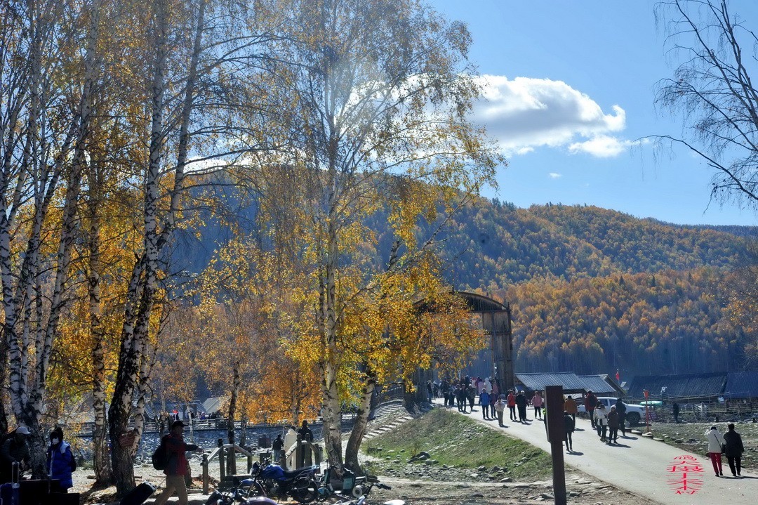 中国第八个摄影创作基地；禾木图瓦村       周鸣天