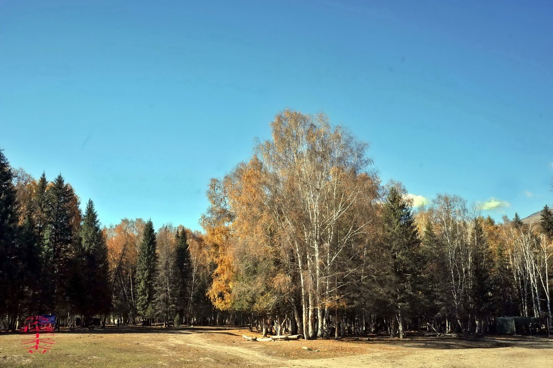 中国第八个摄影创作基地；禾木图瓦村       周鸣天