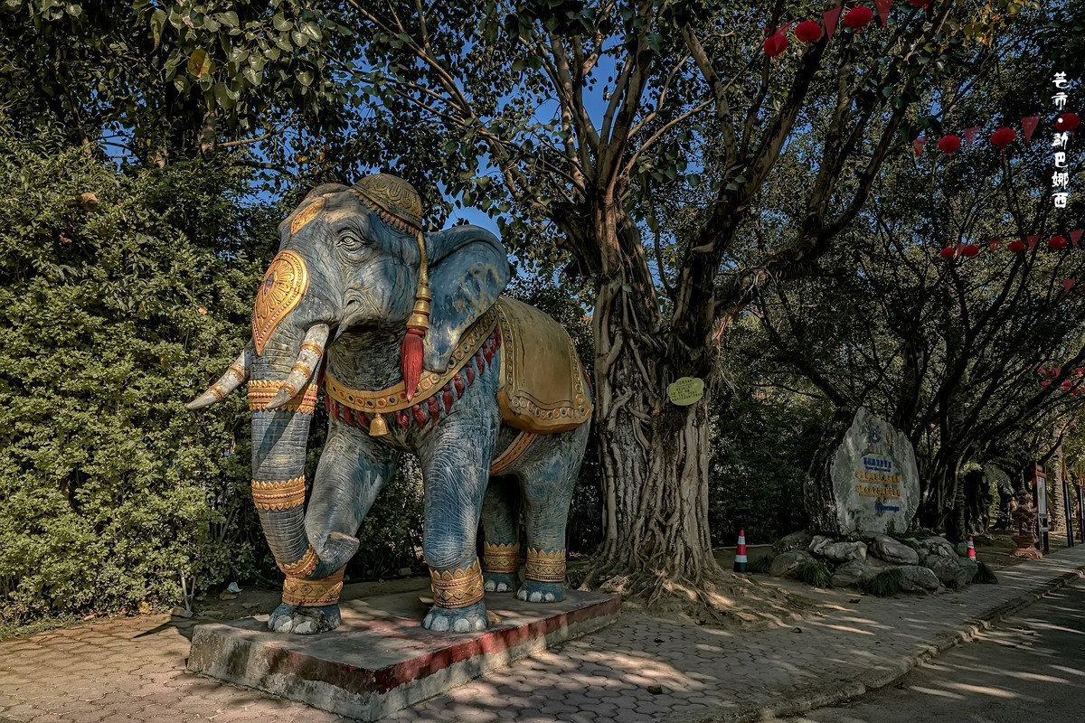 云南芒市 · 勐巴娜西珍奇园