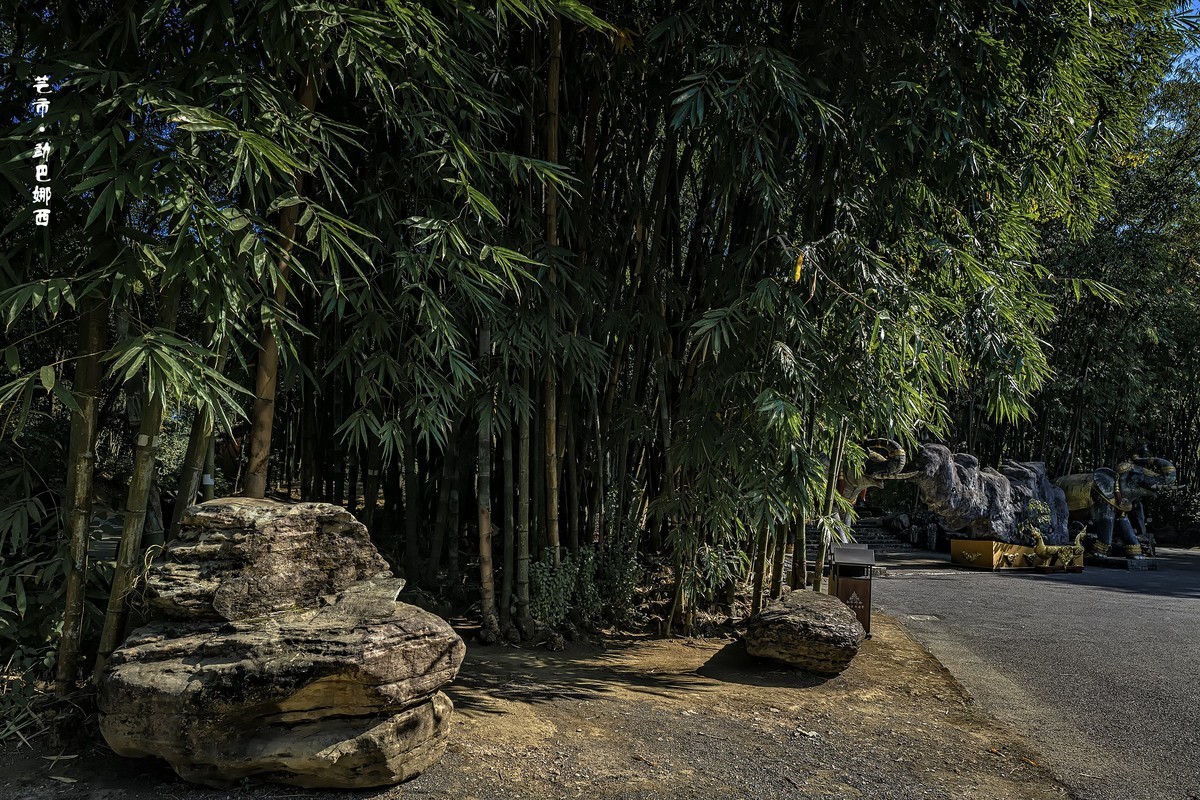 云南芒市 · 勐巴娜西珍奇园