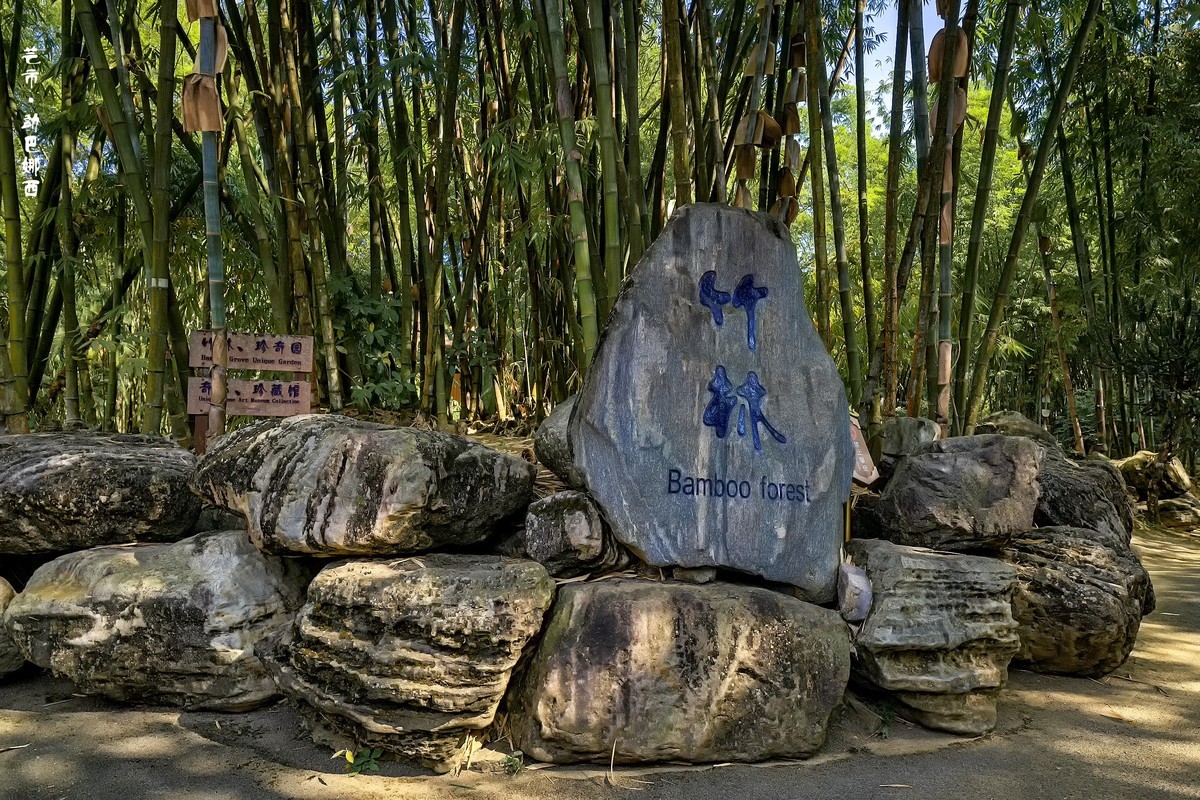 云南芒市 · 勐巴娜西珍奇园