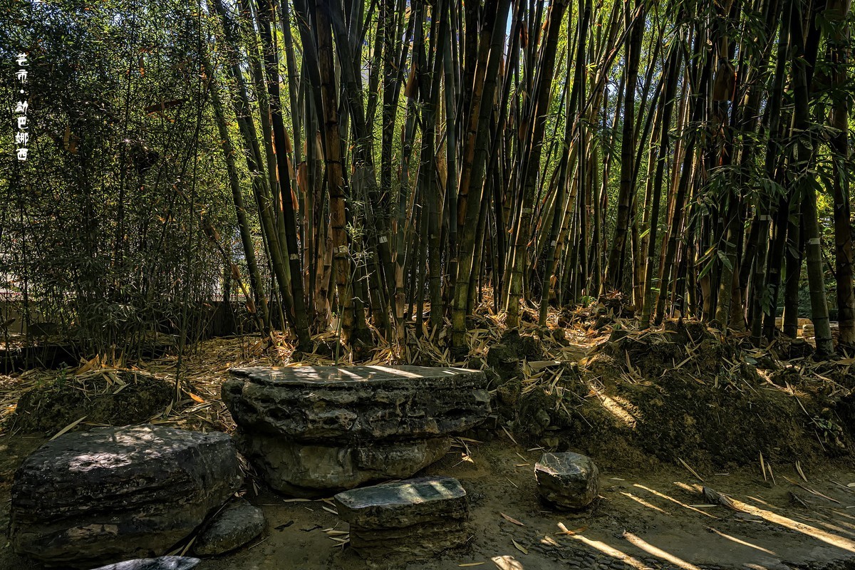 云南芒市 · 勐巴娜西珍奇园