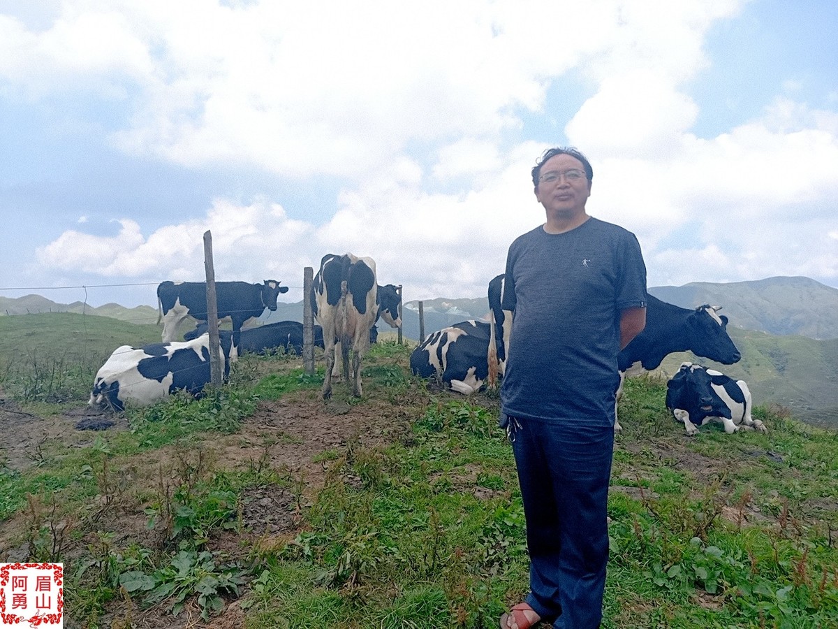 登城步南山牧场