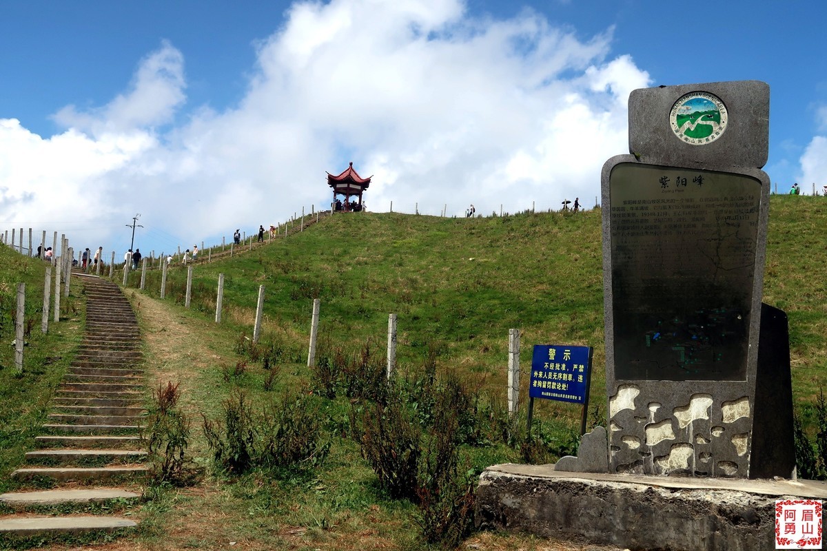 登城步南山牧场