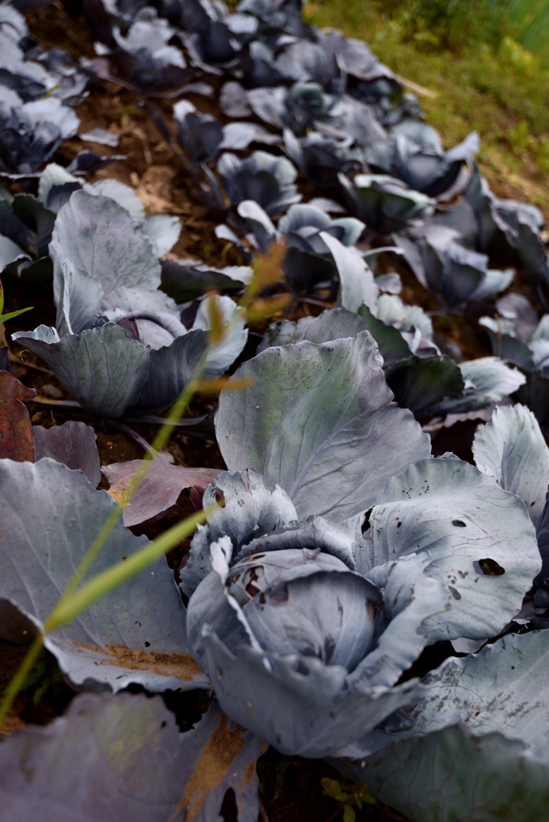 崇礼黑山湾湿地公园    1/3