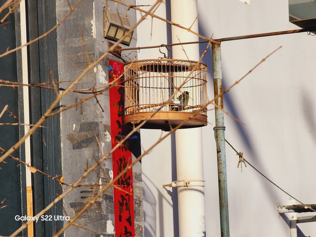 #2023不一样的春节# 红红火火的祝福