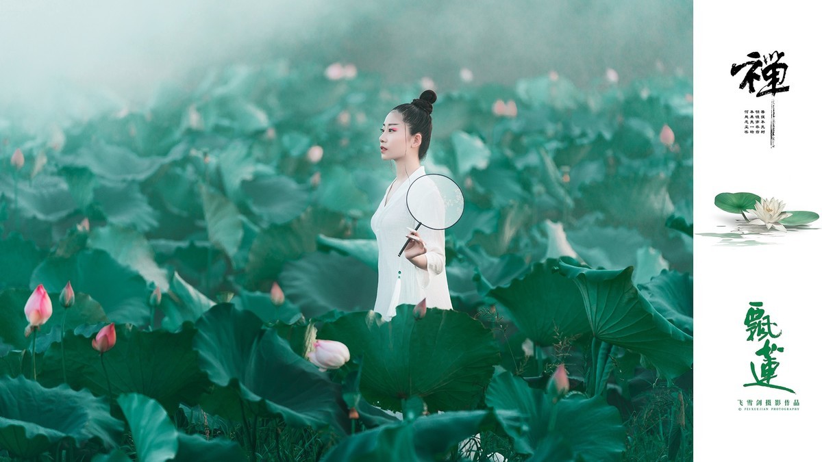 【飞雪剑摄影】《禅·飘莲》