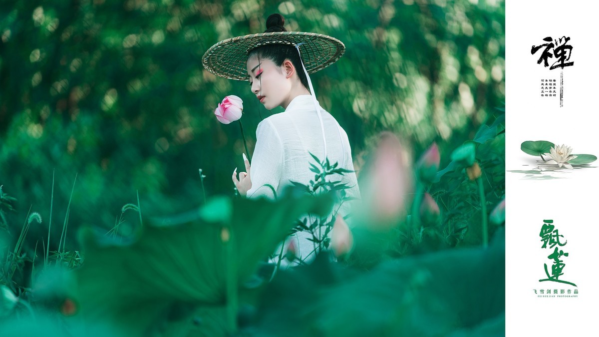 【飞雪剑摄影】《禅·飘莲》