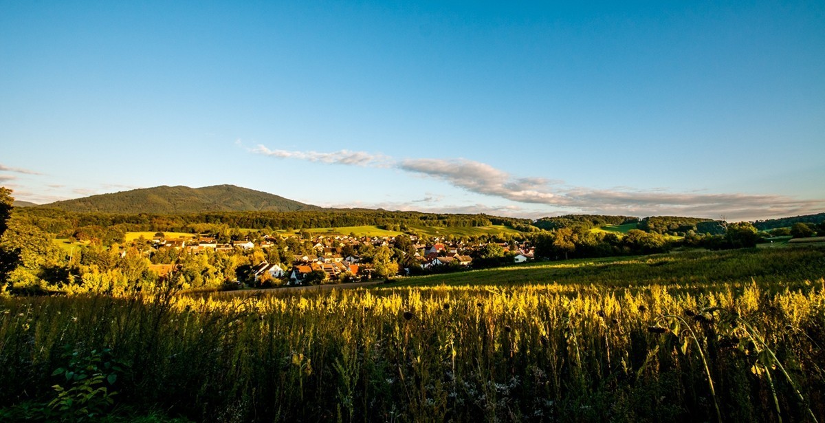 南德长夏之--田园风光