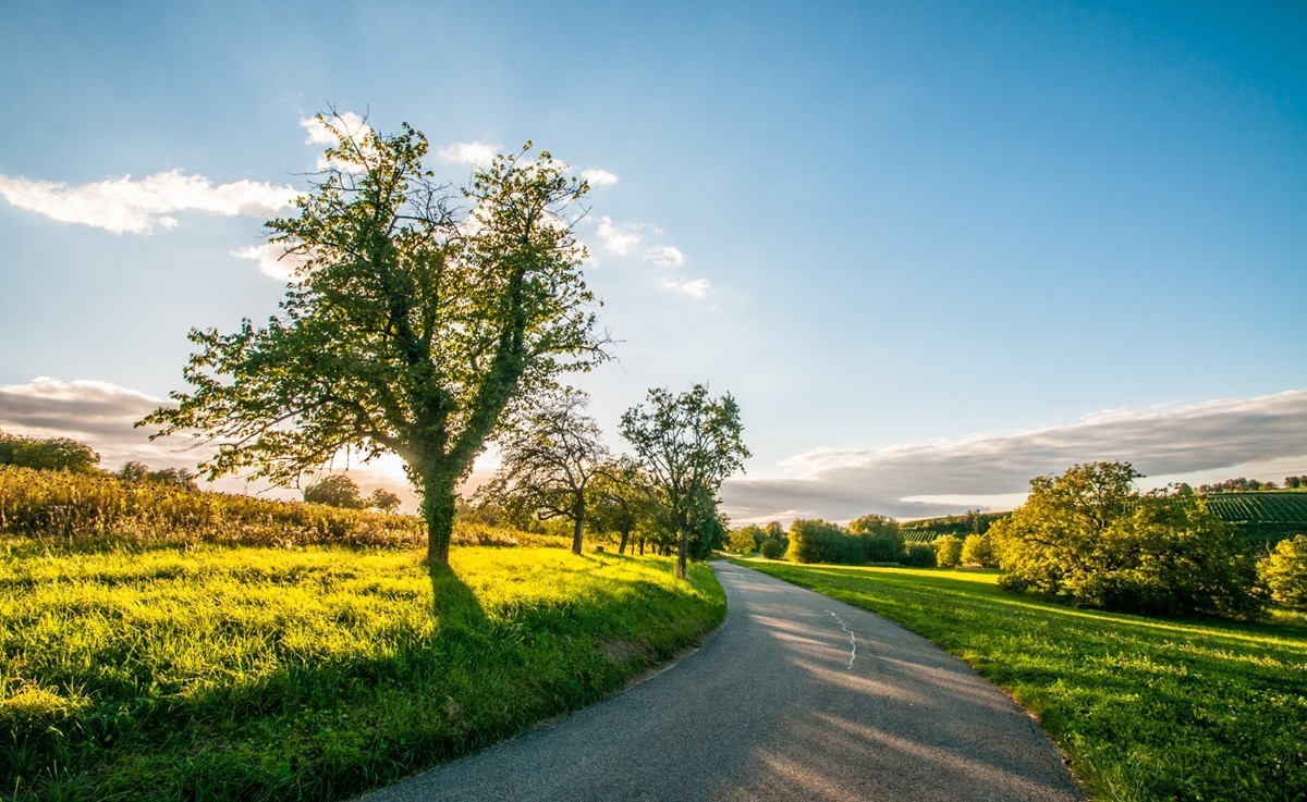 南德长夏之--田园风光