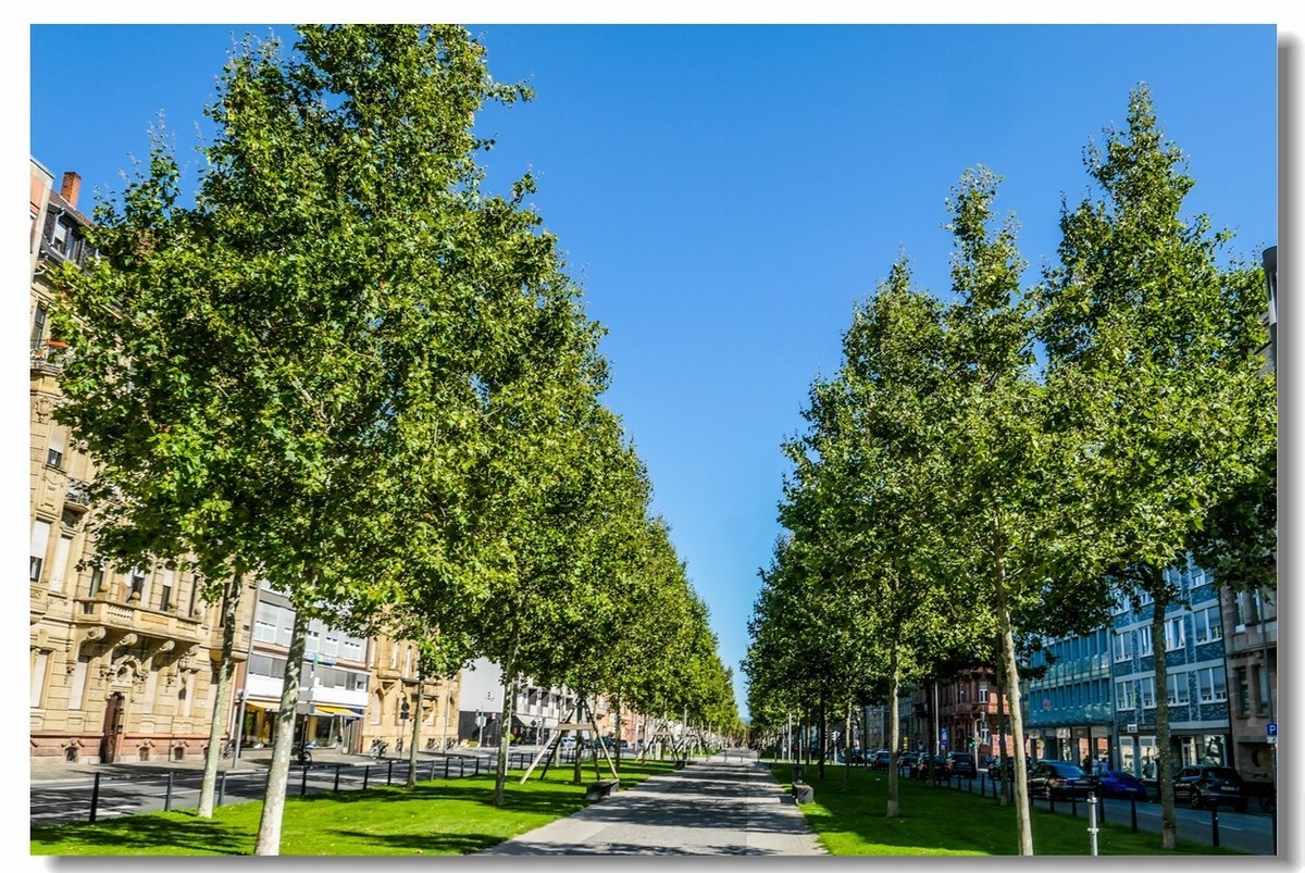 工业重镇--“曼海姆”掠影（德国）