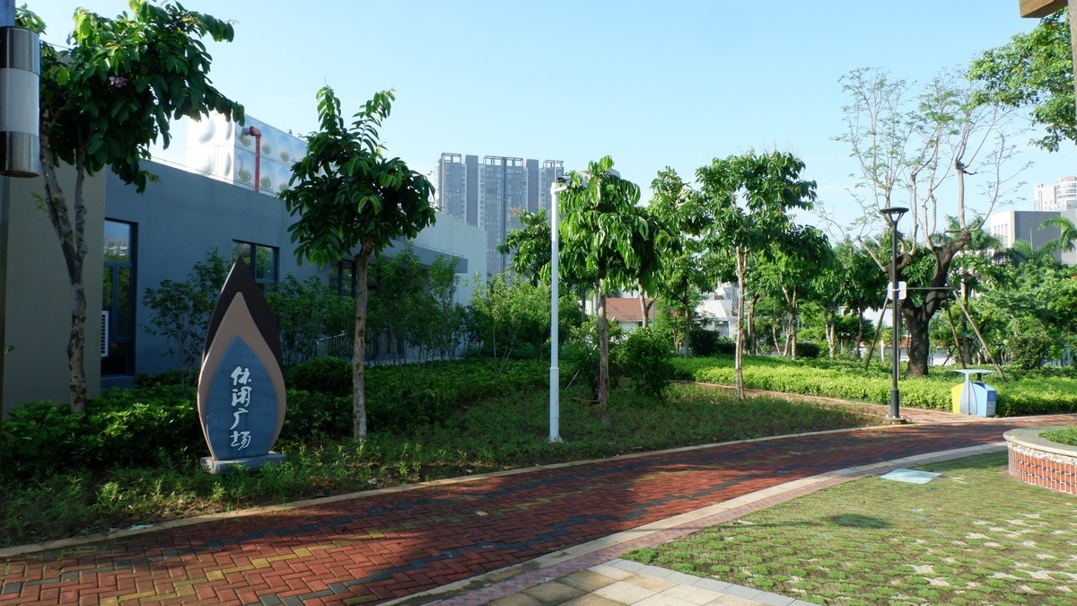 杏林湾曙光曲--28