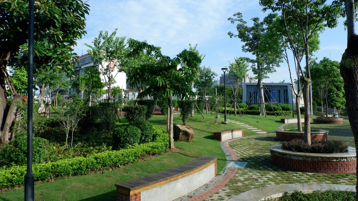 杏林湾曙光曲--28