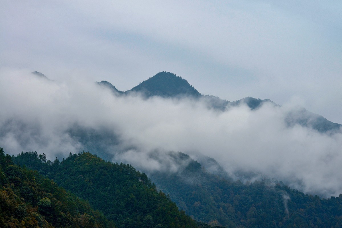 新安江十里画廊