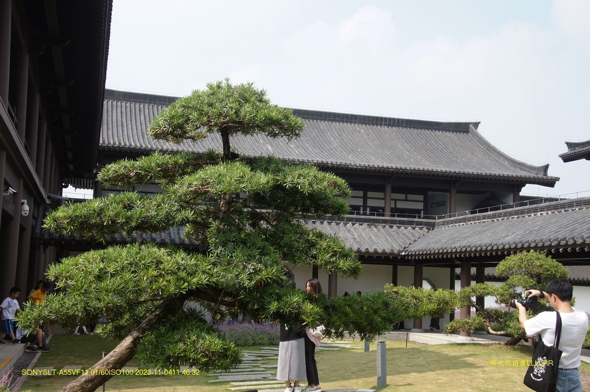 参观  广州文化新馆