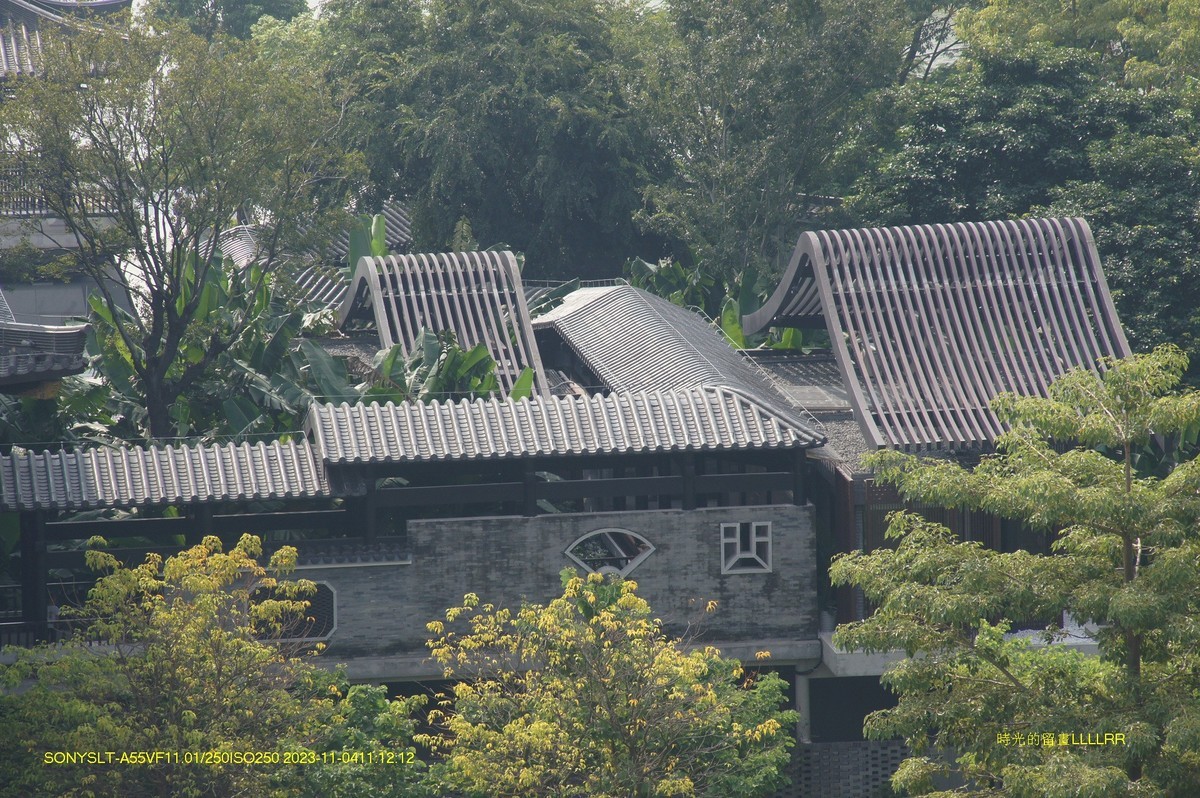 参观  广州文化新馆