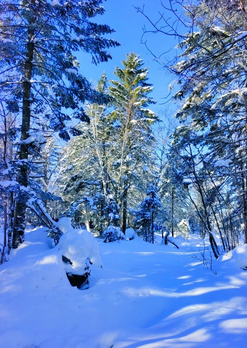 林海雪原3