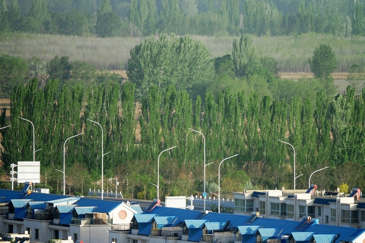 大美大爱RX10m3啊！