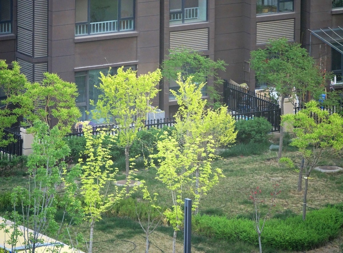 大美大爱RX10m3啊！