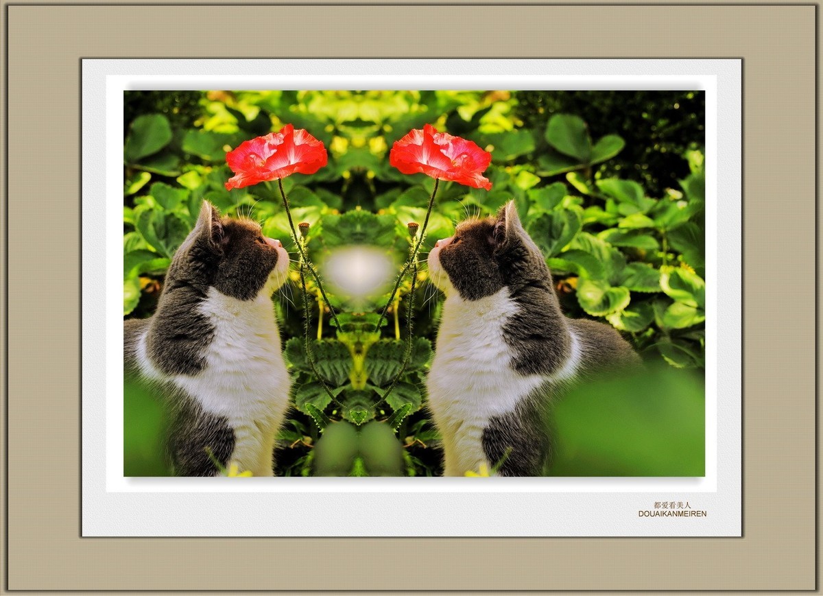 装饰画--都看看