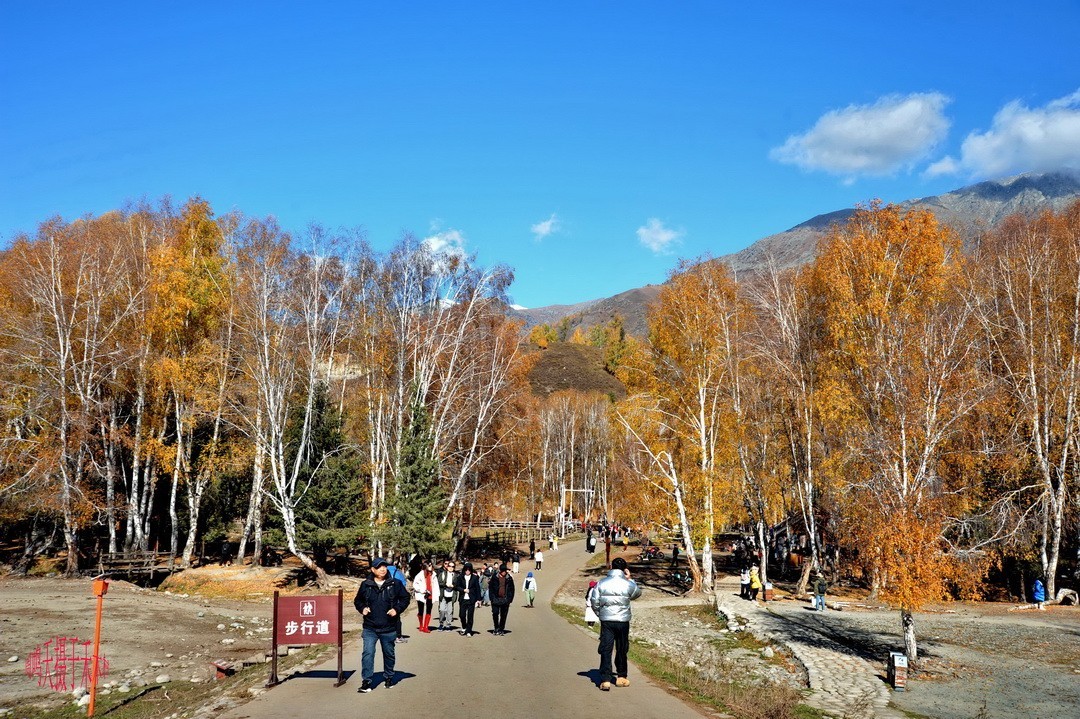 中国第八个摄影创作基地；禾木图瓦村       周鸣天