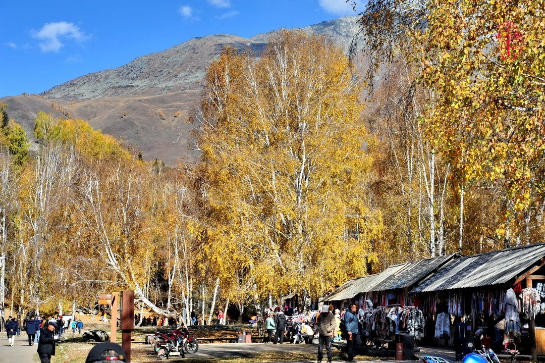 中国第八个摄影创作基地；禾木图瓦村       周鸣天