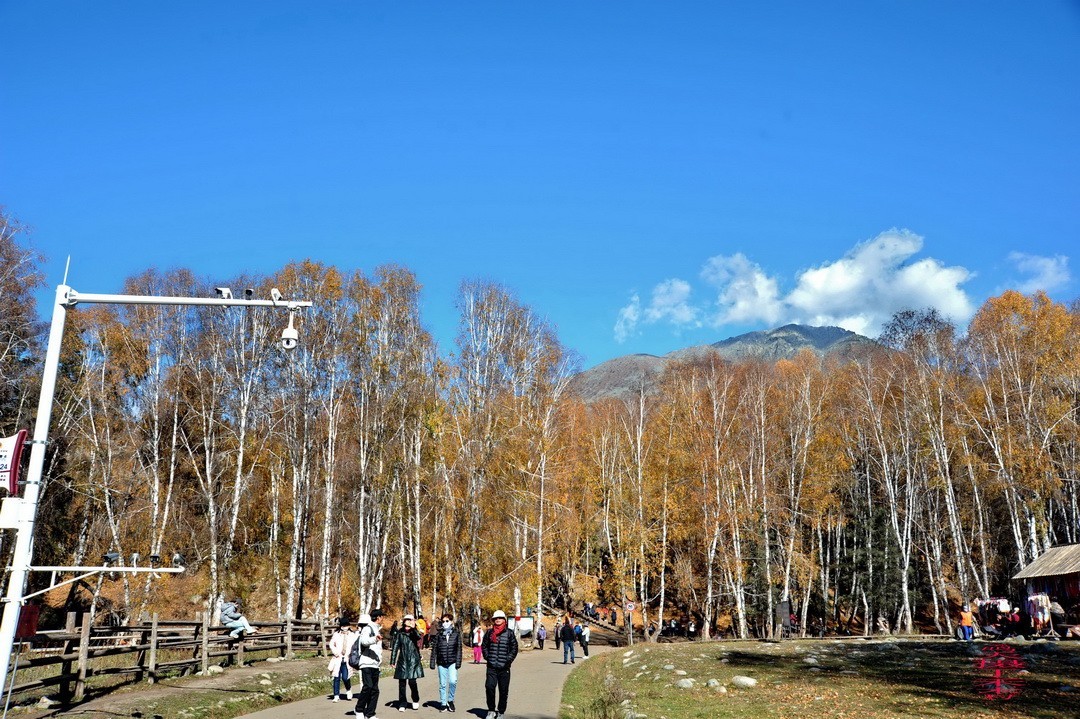 中国第八个摄影创作基地；禾木图瓦村       周鸣天